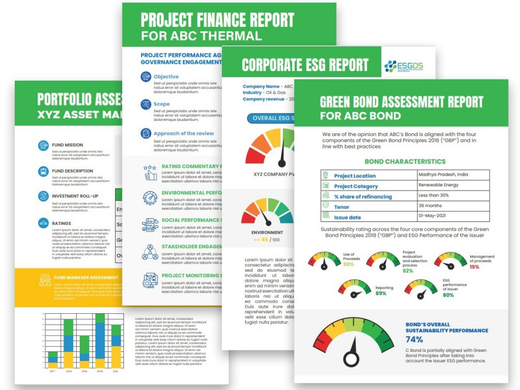 ESGDS Portfolio Assessment