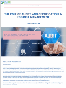 Audit and importance